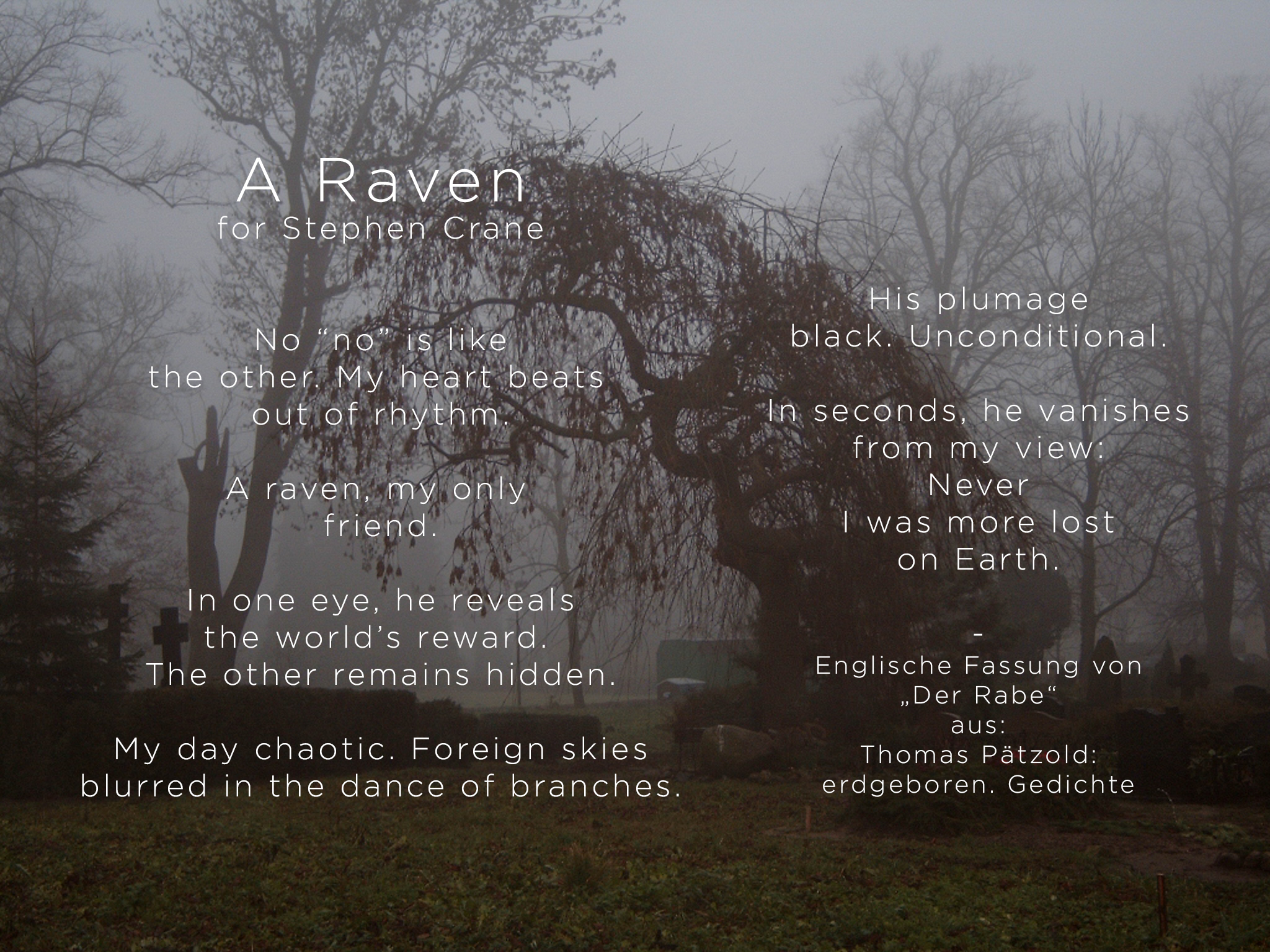 A Raven