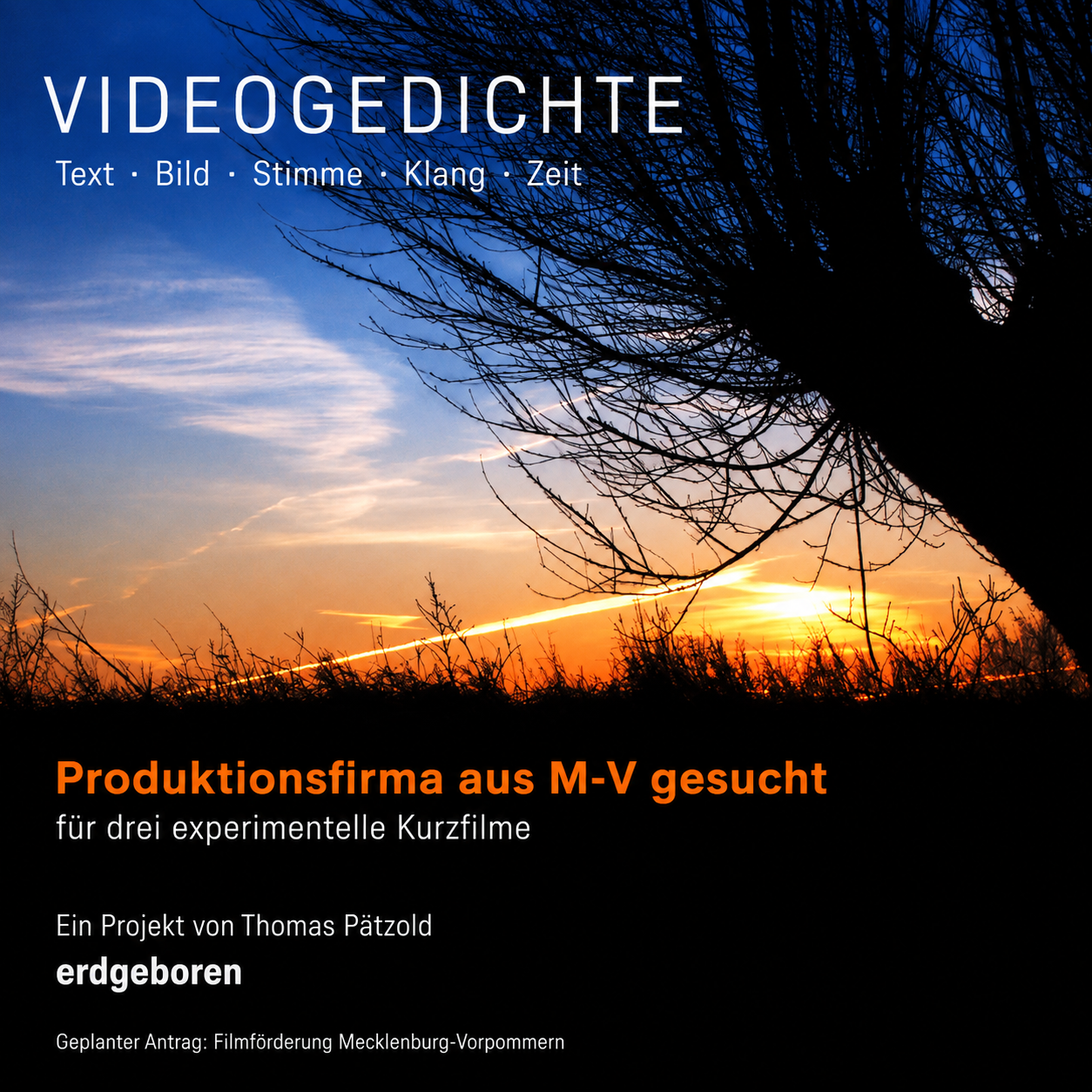 Aus Gedichten sollen Filme werden